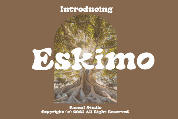 Eskimo Font: A Stylish Display Typeface for Business Branding